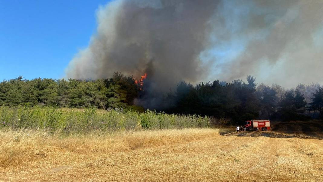 Çanakkale'deki Tarihi Alan'ın güney hattı ziyarete açıldı! Orman yangınında kapatılmıştı - Resim: 4